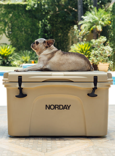Norday Hard Cooler 50 Latas Uniq Uniformes